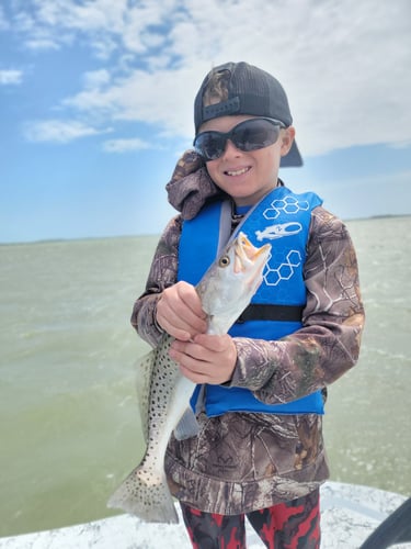 Wading the Laguna Madre in South Padre Island