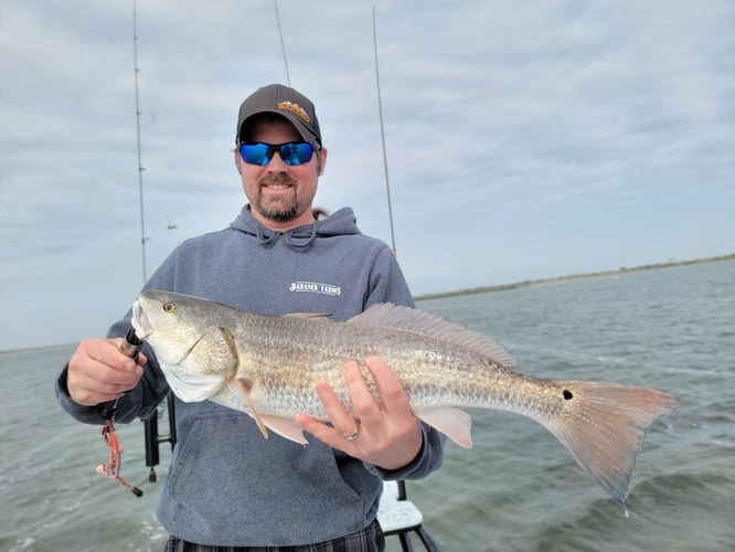 Wading the Laguna Madre in South Padre Island
