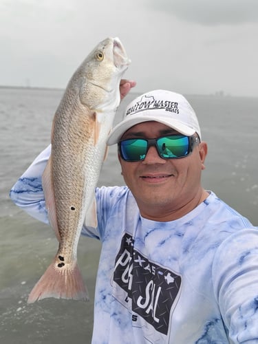 Wading The Laguna Madre In South Padre Island