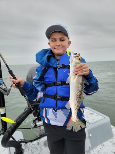 Wading the Laguna Madre in South Padre Island
