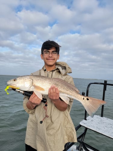 Wading the Laguna Madre in South Padre Island