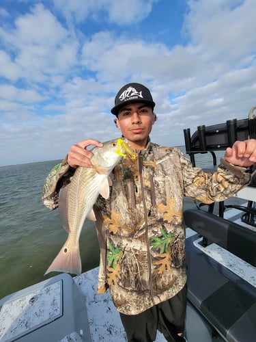 Wading the Laguna Madre in South Padre Island