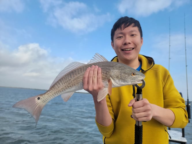 Wading the Laguna Madre in South Padre Island
