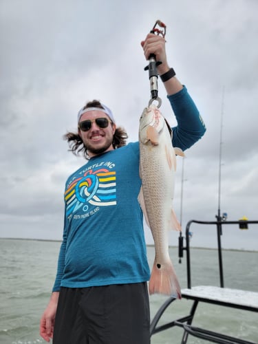 Wading the Laguna Madre in South Padre Island