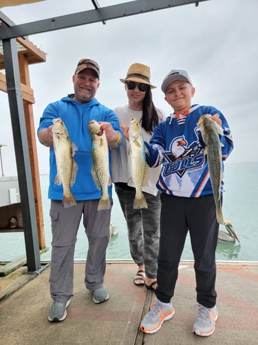 Wading the Laguna Madre in South Padre Island