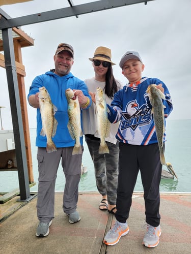 Wading The Laguna Madre In South Padre Island