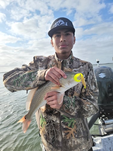 Wading the Laguna Madre in South Padre Island