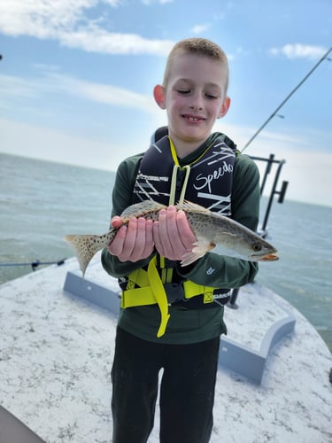 Wading the Laguna Madre in South Padre Island