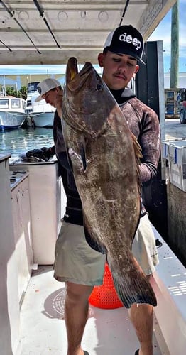 Blue Water Offshore Spearfishing in Key West