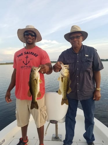 Bass Fishing the Kissimmee