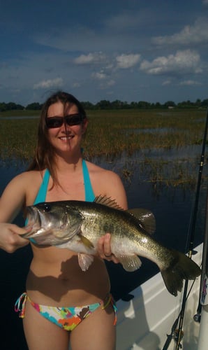 Night Bowfishing (4 Hours) In Kissimmee