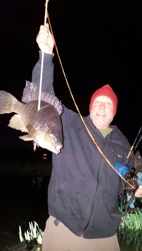 Night Bowfishing (4 Hours) In Kissimmee