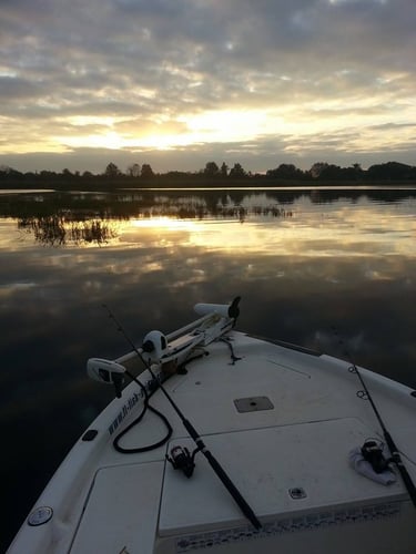 Night Bowfishing (4 Hours) In Kissimmee