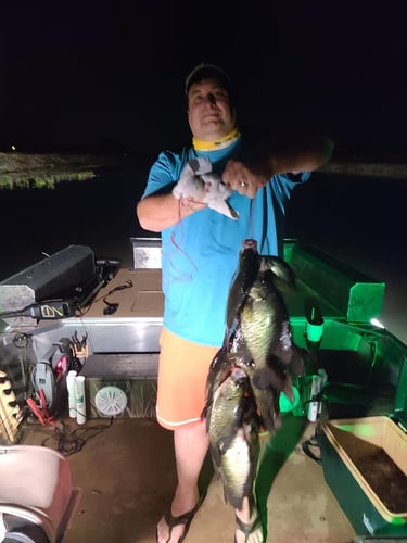 Night Bowfishing (4 Hours) In Kissimmee