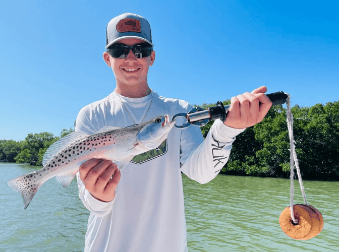 Gallivanting In The Gulf In Bonita Springs