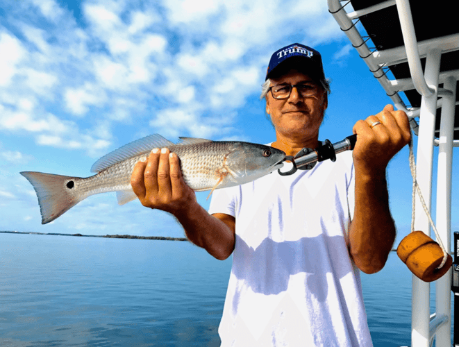 Gallivanting In The Gulf In Bonita Springs