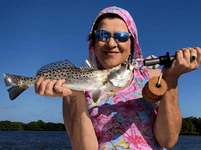 Gallivanting In The Gulf In Bonita Springs