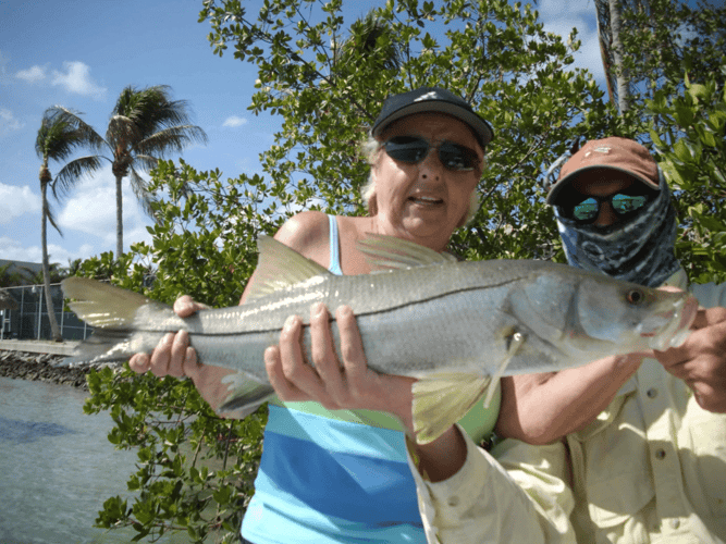 Gallivanting In The Gulf In Bonita Springs