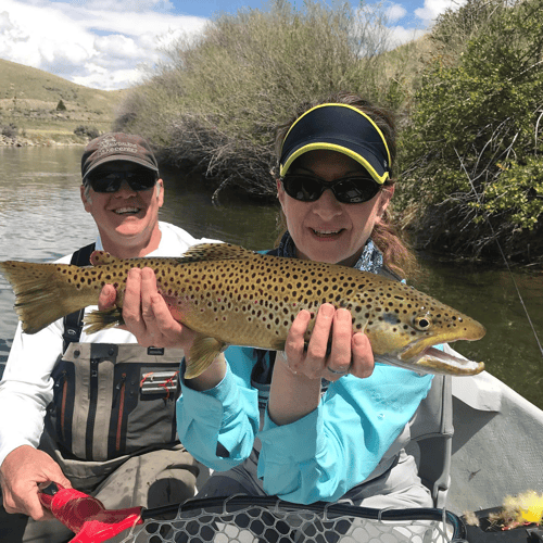 Yellowstone River Fish Frenzy In Sheridan