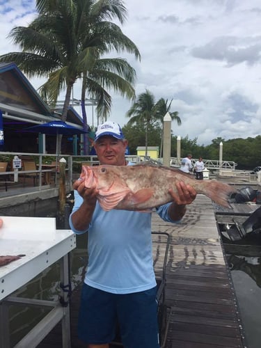 American Red Snapper Trip In Cape Coral