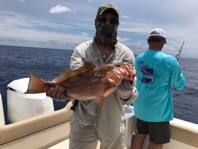 American Red Snapper Trip In Cape Coral
