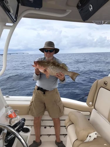 American Red Snapper Trip In Cape Coral