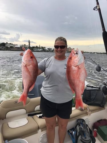 American Red Snapper Trip In Cape Coral