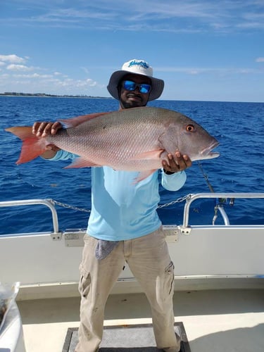 Big Boat Mixed Bag In Lantana