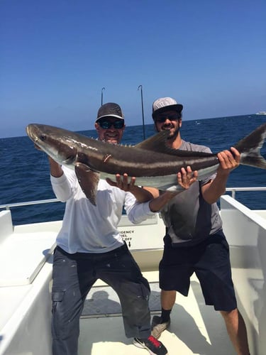 Big Boat Mixed Bag In Lantana