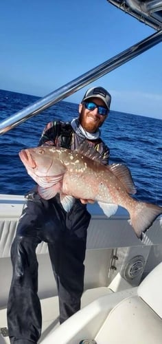 Red Snapper Baby! In Fort Myers Beach