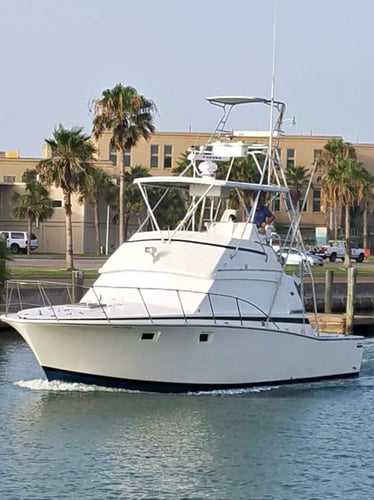 Port A Snapper Special in Port Aransas