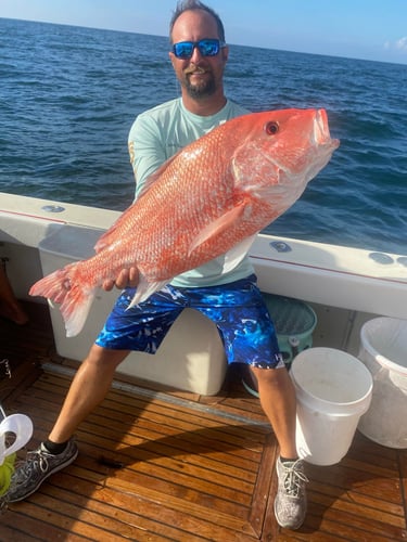 Port A Snapper Special in Port Aransas