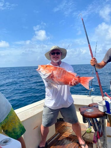 Port A Snapper Special in Port Aransas