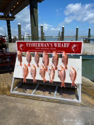 Port A Snapper Special in Port Aransas