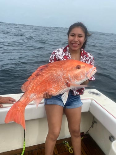 Port A Snapper Special in Port Aransas