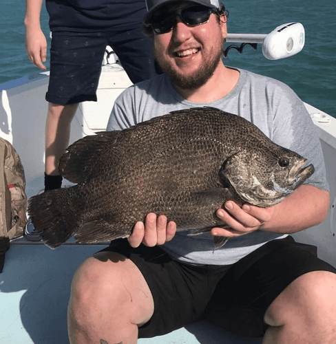 Fort Myers Inshore Angling In Fort Myers