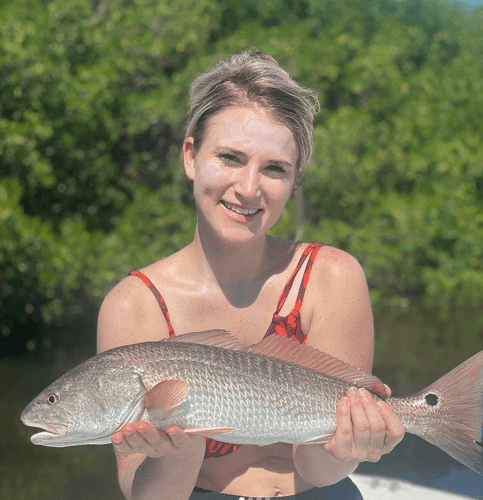 Fort Myers Inshore Angling In Fort Myers