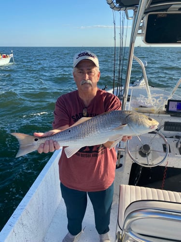 Introduction To Fishing Trip In Gulf Shores