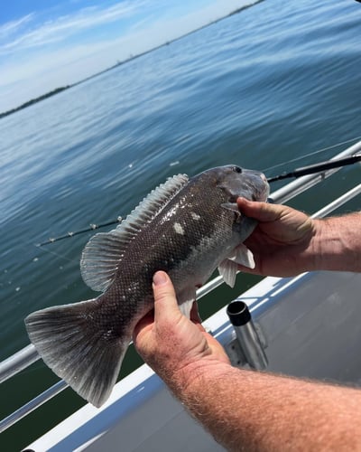 15-Person Private Charter In Port Washington