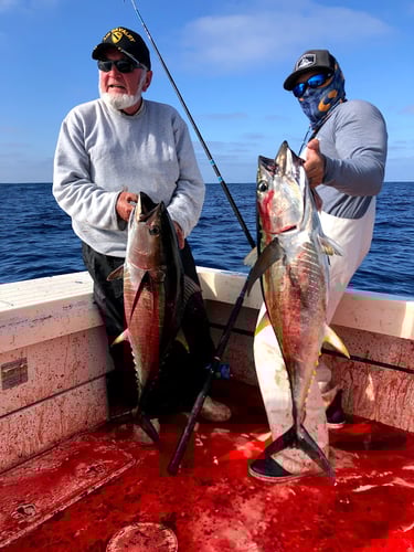 3/4 Day - Offshore Banks (9 Hr.) In San Diego