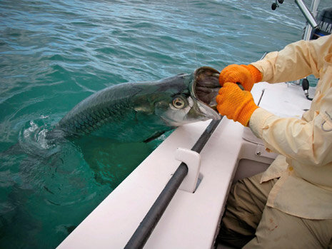 Lower Keys Flats Fishing In Cudjoe Key