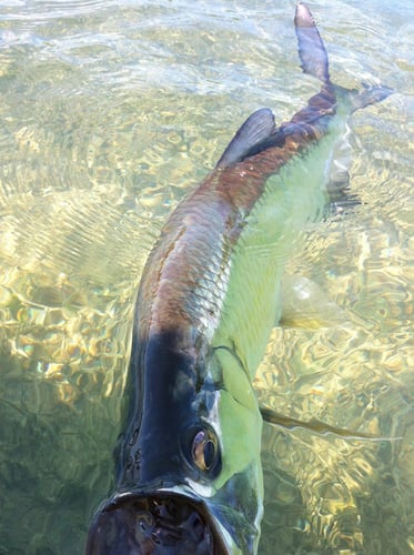 Lower Keys Flats Fishing in Cudjoe Key