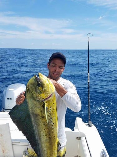 Deep Dropping And Trolling Trip In Fort Lauderdale
