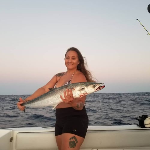 Deep Dropping And Trolling Trip In Fort Lauderdale