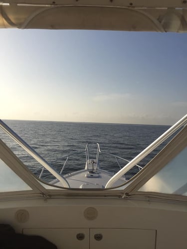 Fort Lauderdale Trolling Trip in Fort Lauderdale