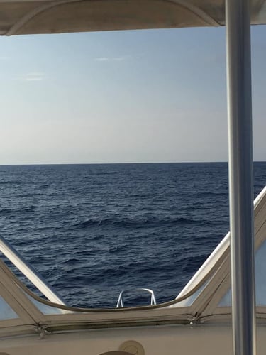 Fort Lauderdale Trolling Trip in Fort Lauderdale