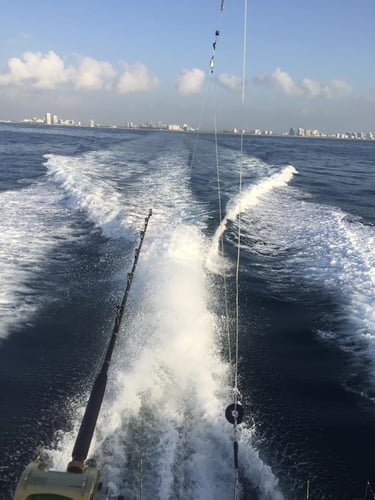 Fort Lauderdale Trolling Trip in Fort Lauderdale