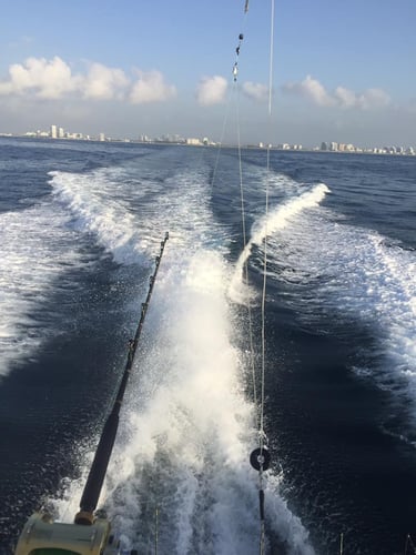 Fort Lauderdale Trolling Trip In Dania Beach