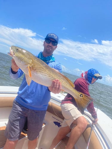 Family Fun Trips - 34' Competition in Galveston