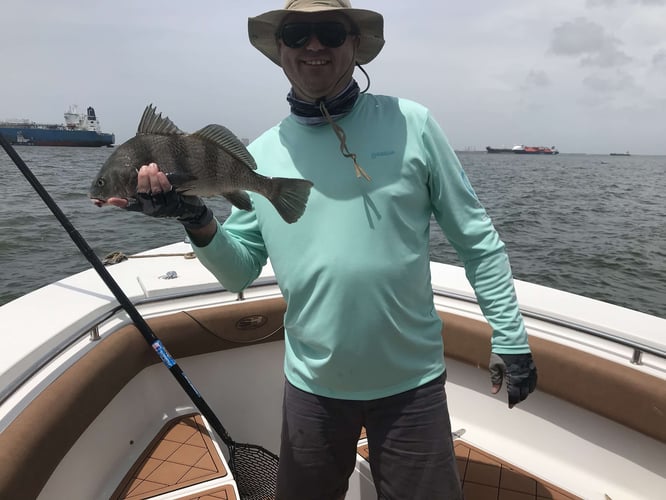 Family Friendly Fishing In Galveston